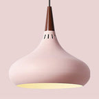 Modern Single Head Aluminum Alloy Pendant Light