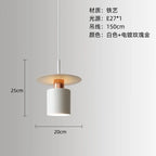 Modern Black Disc and Cylinder Pendant Light with Copper Glow for Bedside