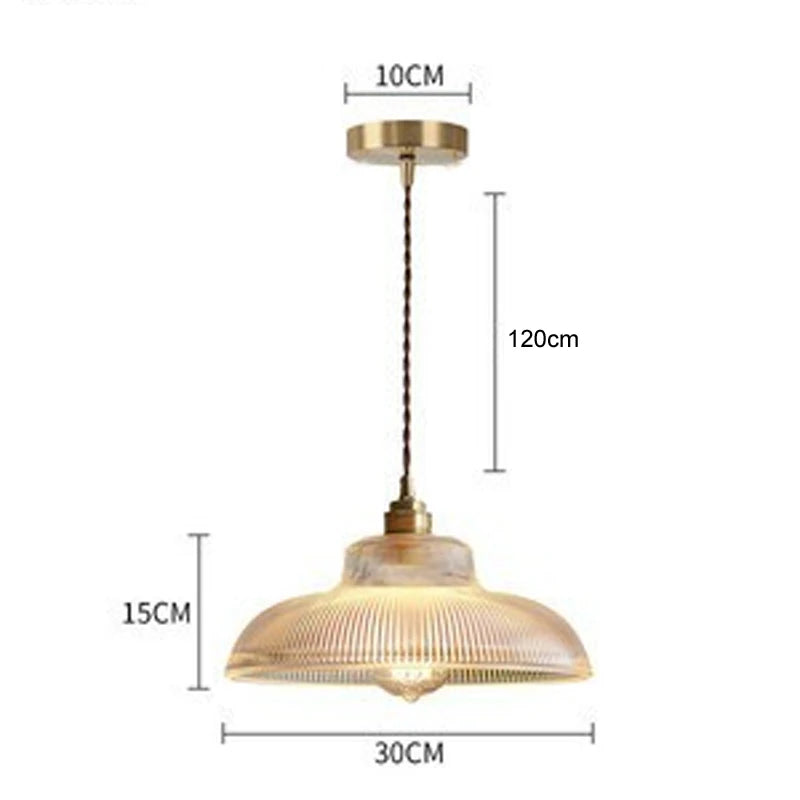 Frosted Glass Pendant Ceiling Light with Iron Finish
