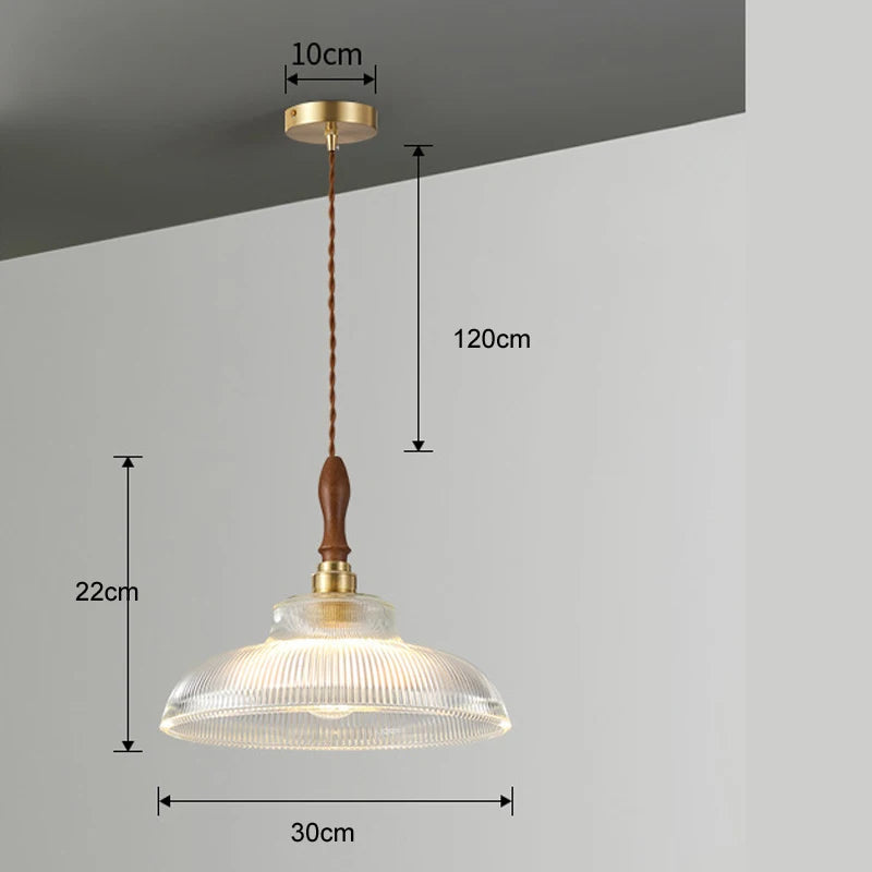 Frosted Glass Pendant Ceiling Light with Iron Finish